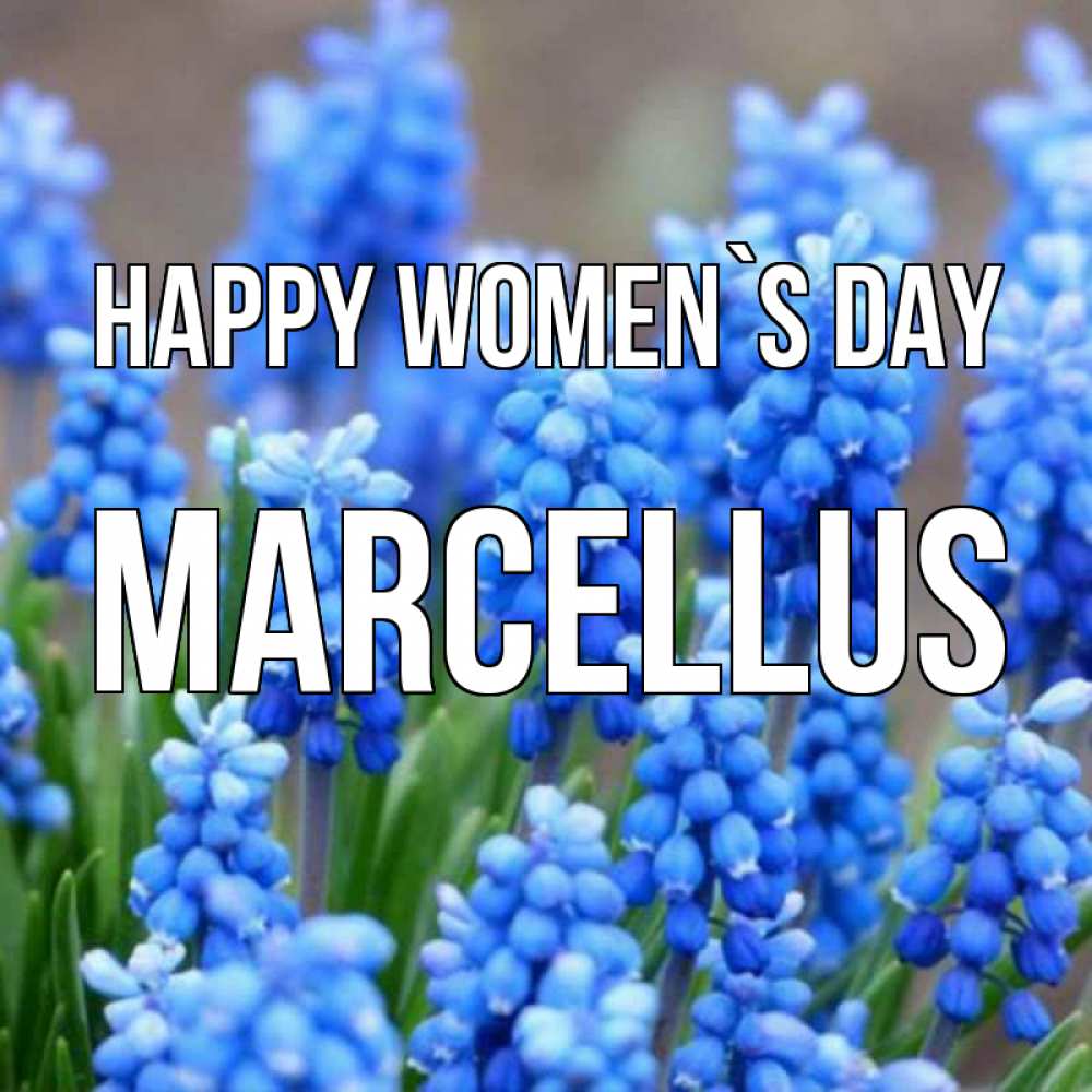 Greetings card с именем, Marcellus happy women`s day Поздравительная открытка для женщин с цветами на праздничную дату Greetings with text for free download 